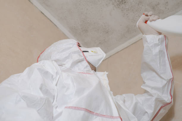 Best Industrial Mold Remediation in Lemmon Valley, NV